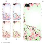 カラーE ハードケース iPhone5S/iPhone5 ケース/アイフォン5/ハードケース/ハード/ docomo/au/SoftBank 対応 カバー ジャケット スマホケース phone5_a03_573a_e