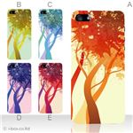 カラーE ハードケース iPhone5S/iPhone5 ケース/アイフォン5/ハードケース/ハード/ docomo/au/SoftBank 対応 カバー ジャケット スマホケース phone5_a04_534a_e