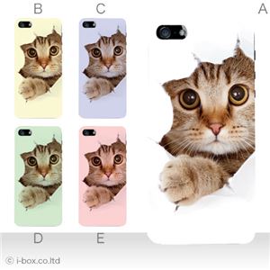 カラーE ハードケース iPhone5S/iPhone5 ケース/アイフォン5/ハードケース/ハード/ docomo/au/SoftBank 対応 カバー ジャケット スマホケース phone5_a07_061a_e