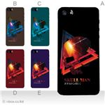 カラーE ハードケース iPhone5S/iPhone5 ケース/アイフォン5/ハードケース/ハード/ docomo/au/SoftBank 対応 カバー ジャケット スマホケース phone5_a08_571a_e