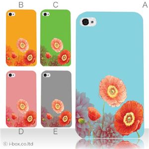 カラーE ハードケース iPhone5S/iPhone5 ケース/アイフォン5/ハードケース/ハード/ docomo/au/SoftBank 対応 カバー ジャケット スマホケース phone5_a09_503a_e