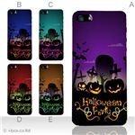カラーE ハードケース iPhone5S/iPhone5 ケース/アイフォン5/ハードケース/ハード/ docomo/au/SoftBank 対応 カバー ジャケット スマホケース phone5_a10_541a_e