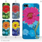 カラーE ハードケース iPhone5S/iPhone5 ケース/アイフォン5/ハードケース/ハード/ docomo/au/SoftBank 対応 カバー ジャケット スマホケース phone5_a19_572a_e