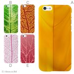 カラーA ハードケース iPhone6 ケース／アイフォン6／ハードケース／ハード／ docomo／au／SoftBank 対応 カバー ジャケット スマホケース phon6_a10_593_a