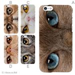 カラーA ハードケース iPhone6 ケース／アイフォン6／ハードケース／ハード／ docomo／au／SoftBank 対応 カバー ジャケット スマホケース phon6_a18_518_a