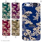 カラーD ハードケース iPhone6 ケース／アイフォン241／ハードケース／ハード／ docomo／au／SoftBank 対応 カバー ジャケット スマホケース phon6_a34_506_d