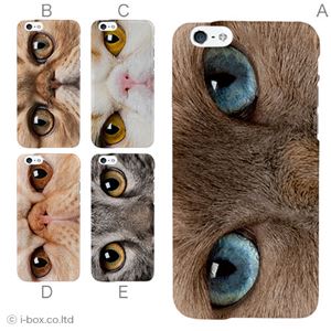 カラーE ハードケース iPhone6 ケース／アイフォン176／ハードケース／ハード／ docomo／au／SoftBank 対応 カバー ジャケット スマホケース phon6_a18_518_e