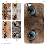 カラーB ハードケース iPhone6 plus ケース／アイフォン6プラス／ハードケース／ハード／ docomo／au／SoftBank 対応 カバー ジャケット スマホケース phon6p_a18_518_b