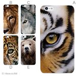 カラーC ハードケース iPhone6 plus ケース／アイフォン6プラス／ハードケース／ハード／ docomo／au／SoftBank 対応 カバー ジャケット スマホケース phon6p_a00_101_c