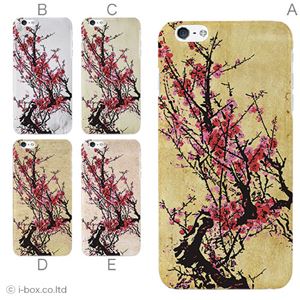 カラーC ハードケース iPhone6 plus ケース／アイフォン6プラス／ハードケース／ハード／ docomo／au／SoftBank 対応 カバー ジャケット スマホケース phon6p_a33_532_c