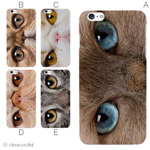 カラーD ハードケース iPhone6 plus ケース／アイフォン176／ハードケース／ハード／ docomo／au／SoftBank 対応 カバー ジャケット スマホケース phon6p_a18_518_d