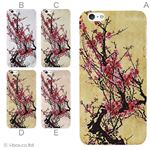 カラーD ハードケース iPhone6 plus ケース／アイフォン237／ハードケース／ハード／ docomo／au／SoftBank 対応 カバー ジャケット スマホケース phon6p_a33_532_d