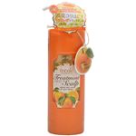 レコル ノンシリコンオイルクリアトリートメント オレンジ 500ml