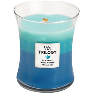 WoodWick(ウッドウィック) WWトリロジー ジャーM ジェントルレイ