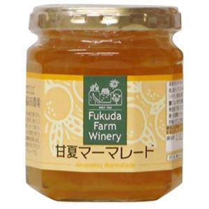 （まとめ買い）甘夏マーマレード 215g×8セット