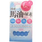 （まとめ買い）みずもち オールインワンゲルクリーム 100g×3セット
