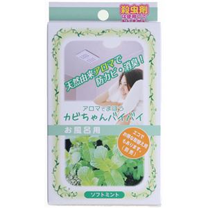 （まとめ買い）カビちゃんバイバイ お風呂用 ソフトミント 17ml×2セット