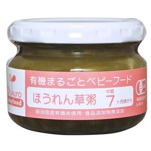 （まとめ買い）有機まるごとベビーフード ほうれん草粥 100g 7ヶ月頃から×9セット