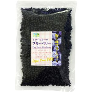 野田ハニー ノンオイル ドライフルーツブルーベリー 400g