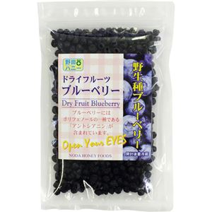 （まとめ買い）野田ハニー ノンオイル ドライフルーツブルーベリー 120g×3セット