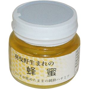 （まとめ買い）山本農園 羽曳野生まれの蜂蜜 ハナミズキ 160g×2セット