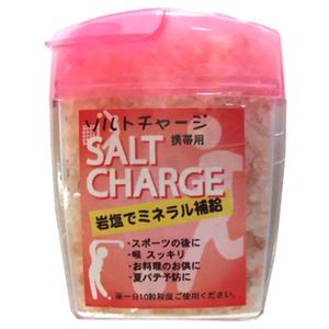 （まとめ買い）アンデスの紅塩 ソルトチャージ 携帯用 47g×15セット