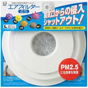 （まとめ買い）クリタック エアフィルター2.5 Lサイズ AIF-5035×2セット