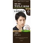 （まとめ買い）ルシード ワンプッシュケアカラー ダークブラウン×4セット