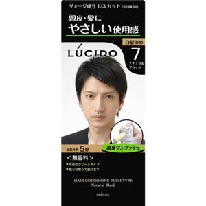 （まとめ買い）ルシード ワンプッシュケアカラー ナチュラルブラック×4セット