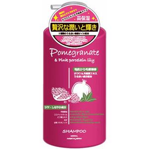 PCスリーグレイスプロ シャンプー 1000ml