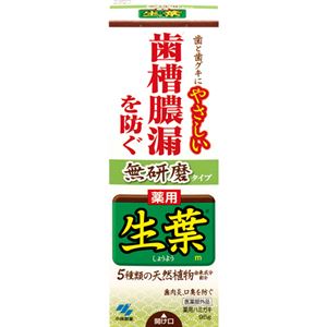 （まとめ買い）薬用 生葉 無研磨タイプ 95g×4セット