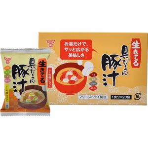（まとめ買い）フンドーキン 生きてる 具だくさん豚汁 12.4g×20袋×2セット