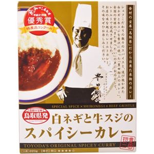 （まとめ買い）白ネギと牛スジのスパイシーカレー 220g×10セット