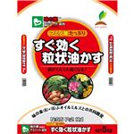 （まとめ買い）JOY AGRIS すぐ効く粒状油かす 5kg×2セット