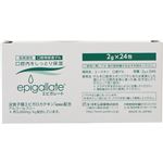 （まとめ買い）エピガレート 口湿ゲル 2g×24包×2セット