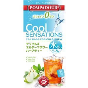 （まとめ買い）ポンパドール クールセンセーション エルダーアップル 2.5g×8袋×6セット