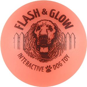 （まとめ買い）AMERICAN DOG TOYS フラッシュ&グロー ネオンボール ジュニア×3セット
