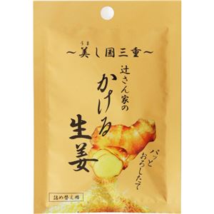 （まとめ買い）辻さん家のかける生姜 詰め替え用 6.5g×17セット