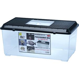 （まとめ買い）パノラマ ビッグ E21×2セット