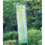 Too ポンジクロスII 24インチロール 610mm×20m 2インチコア IJR24-48PD 1本