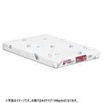 （まとめ） 王子製紙 PODグロスコート100 A3 100g PODGL100-A3 1冊（250枚） 【×2セット】