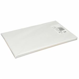 （まとめ） TANOSEE マルチプリンターラベル スタンダードタイプ A4 ノーカット 1冊（100シート） 【×5セット】