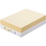 （まとめ） TANOSEE αエコカラーペーパーII B4 クリーム 1冊（500枚） 【×5セット】