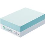 （まとめ） TANOSEE αエコカラーペーパーII A4 ライトブルー 1冊（500枚） 【×5セット】