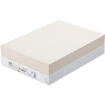 （まとめ） TANOSEE αエコカラーペーパーII B4 アイボリー 1冊（500枚） 【×5セット】