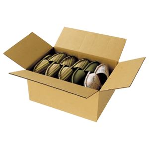 （まとめ） TANOSEE 宅配用ダンボール箱 100-A3 450×330×215mm 1パック（20枚） 【×2セット】