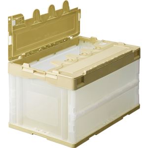 （まとめ） TANOSEE 折りたたみコンテナ フタ付 50L アイボリー／透明 1台 【×2セット】