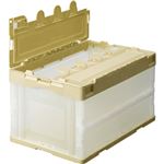 （まとめ） TANOSEE 折りたたみコンテナ フタ付 50L アイボリー／透明 1台 【×2セット】