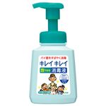 （まとめ） ライオン キレイキレイ 薬用泡で出る消毒液 本体 250ml 1個 【×5セット】