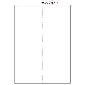（まとめ） ヒサゴ マルチプリンター帳票（FSC森林認証紙） A4 白紙 2面 FSC2073 1冊（100枚） 【×5セット】